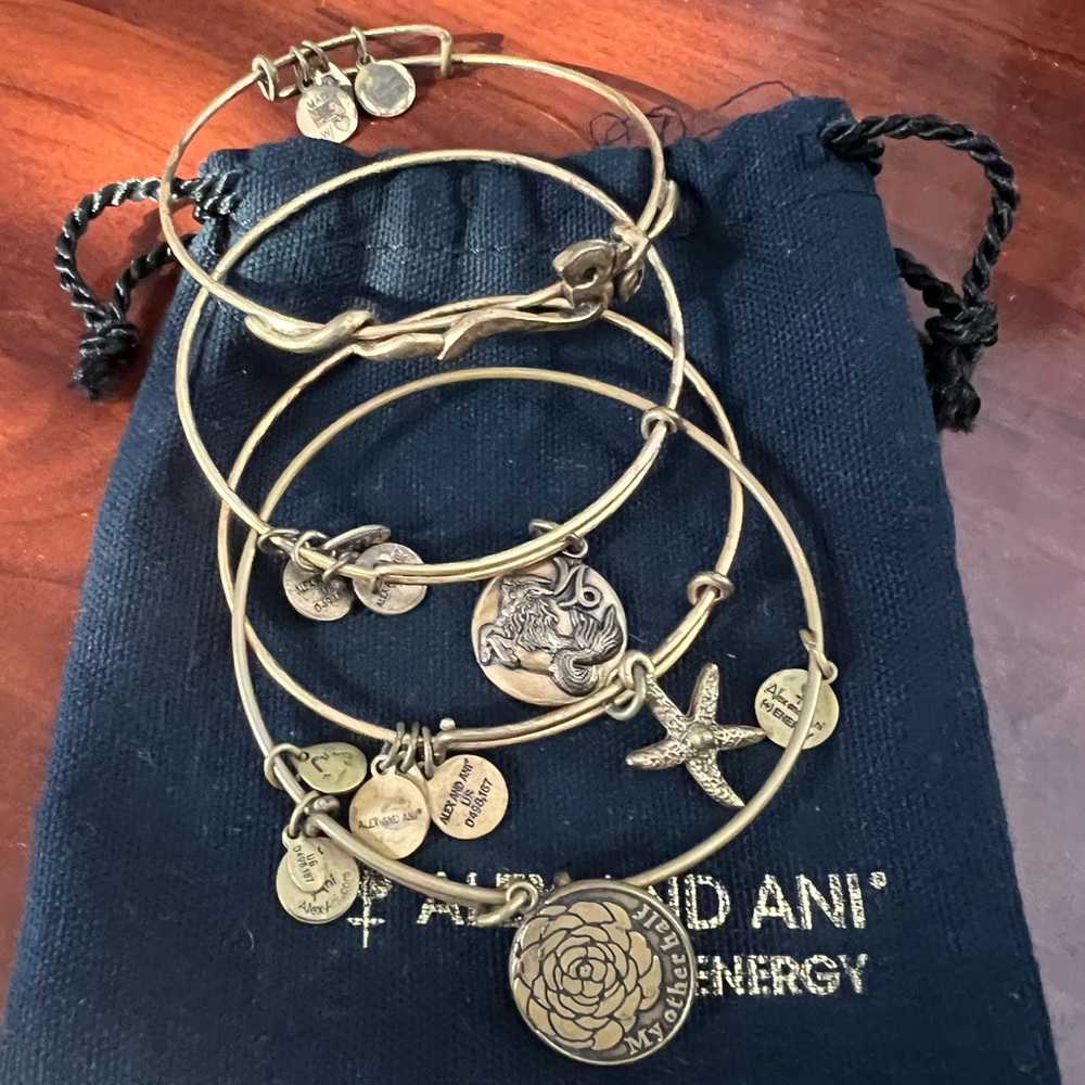 Alex and Ani Gold Charm Bracelet Set